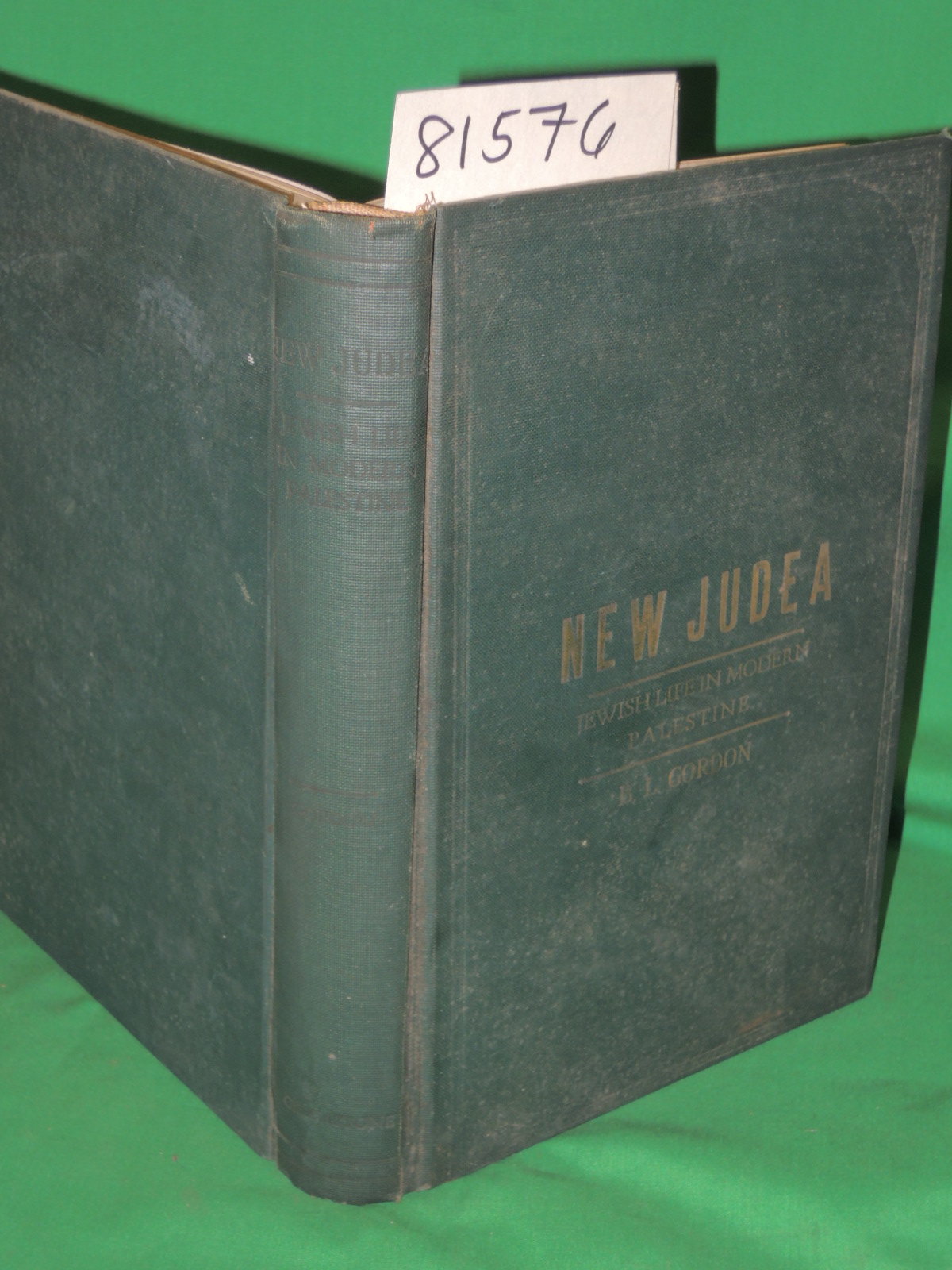 Gordon, MD, Benjamin L.: New Judea: Jewish Life in Modern Palestine and Egypt