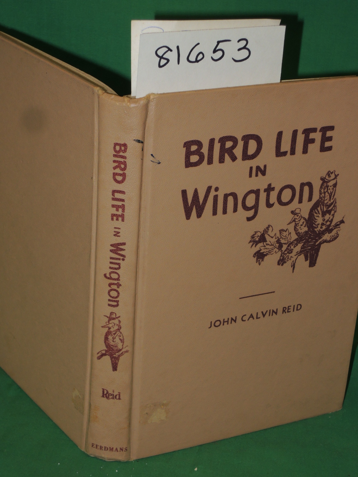 Reid, John Calvin: Bird Life in Wington Young Folk in Story Form