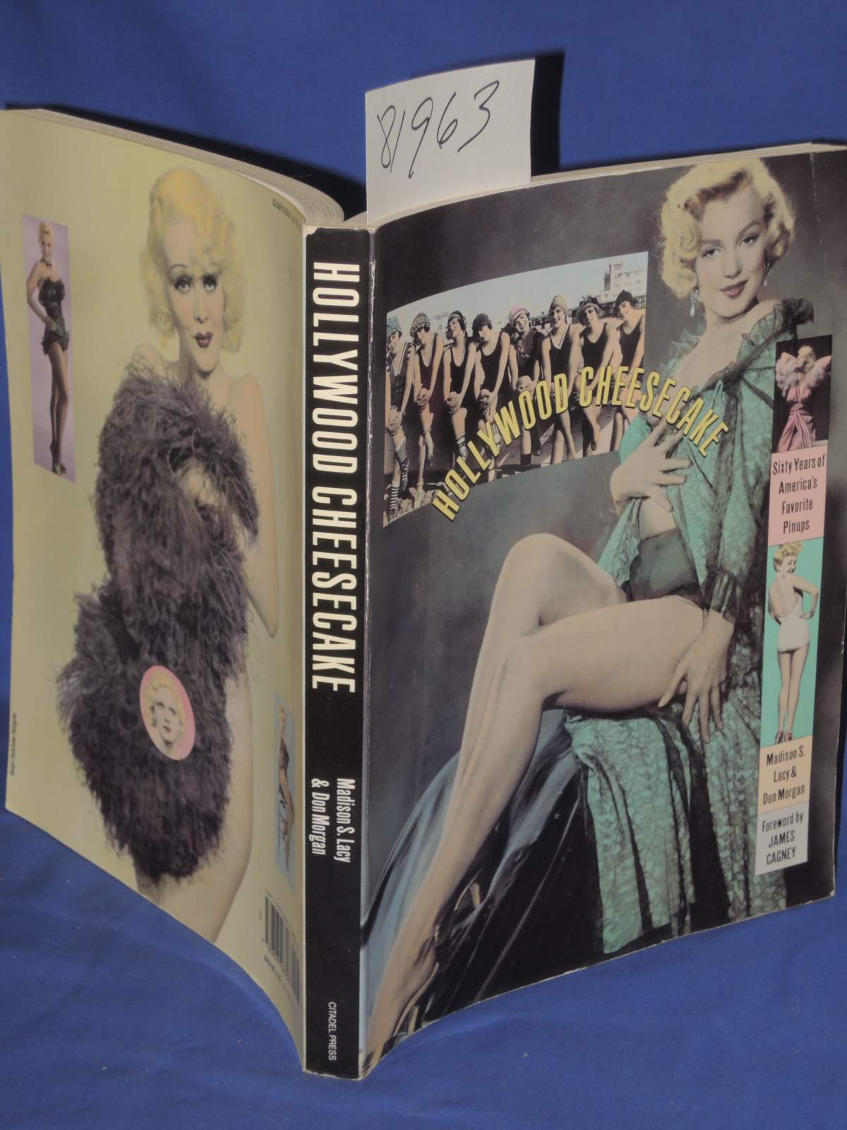 Lacy, Madison S.; Morgan, Don: Hollywood Cheesecake: Sixty Years of America's...