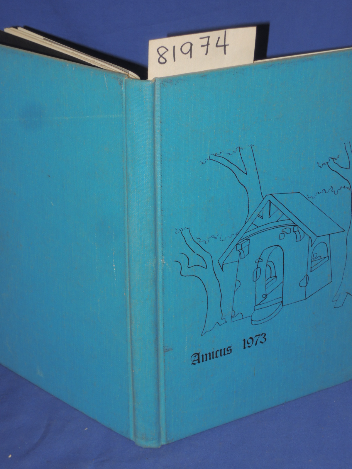 Amicus: Amicus 1973 Yearbook
