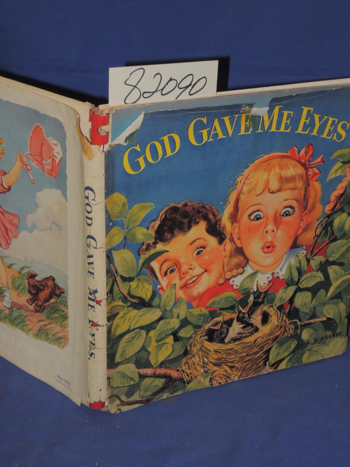 Burt, Olive W.: God Gave Me Eyes : My Five Senses
