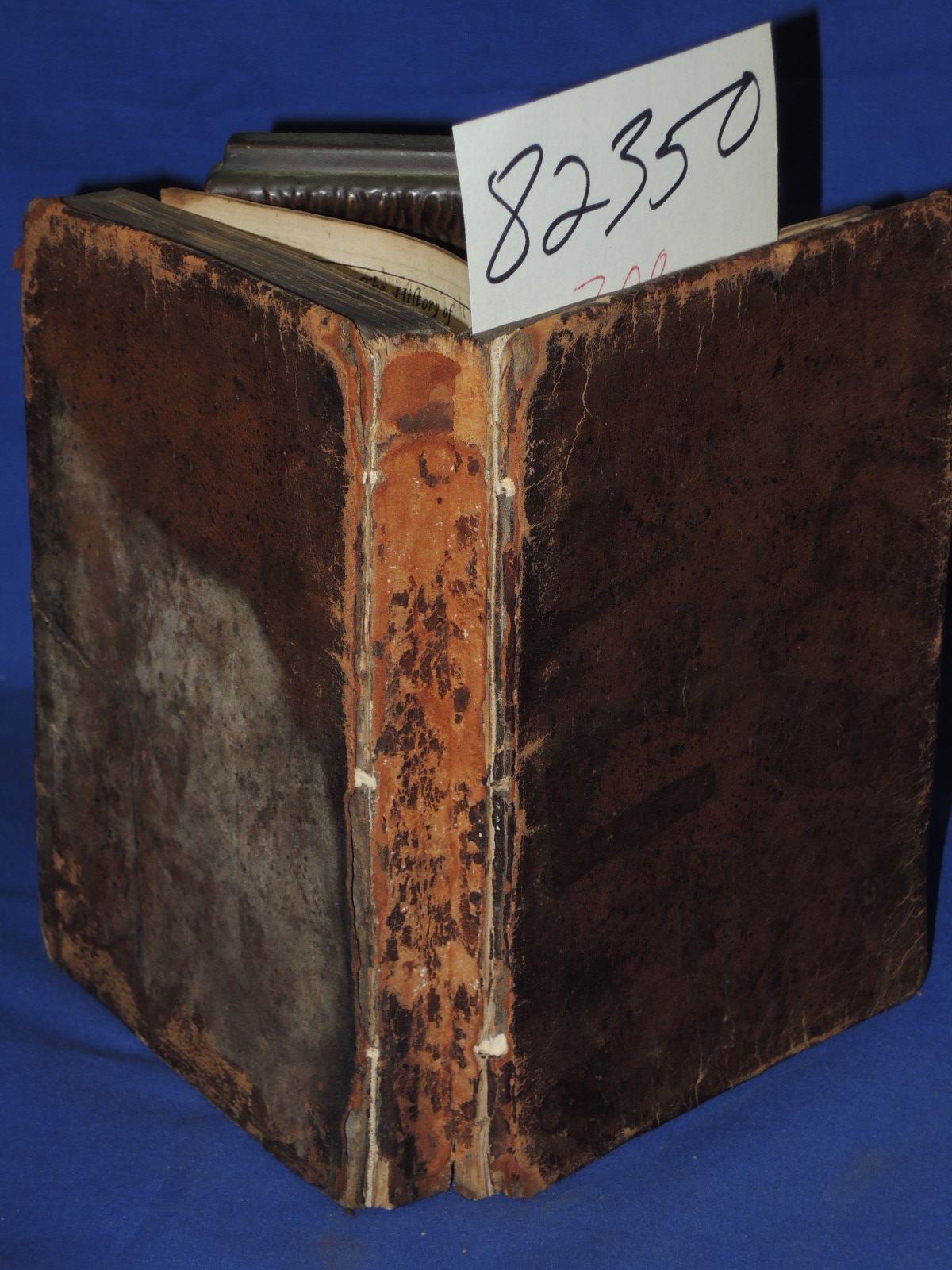 W. A. Fellow of the Rotal Societt: Il Nipotifmo di Roma: or the History of th...