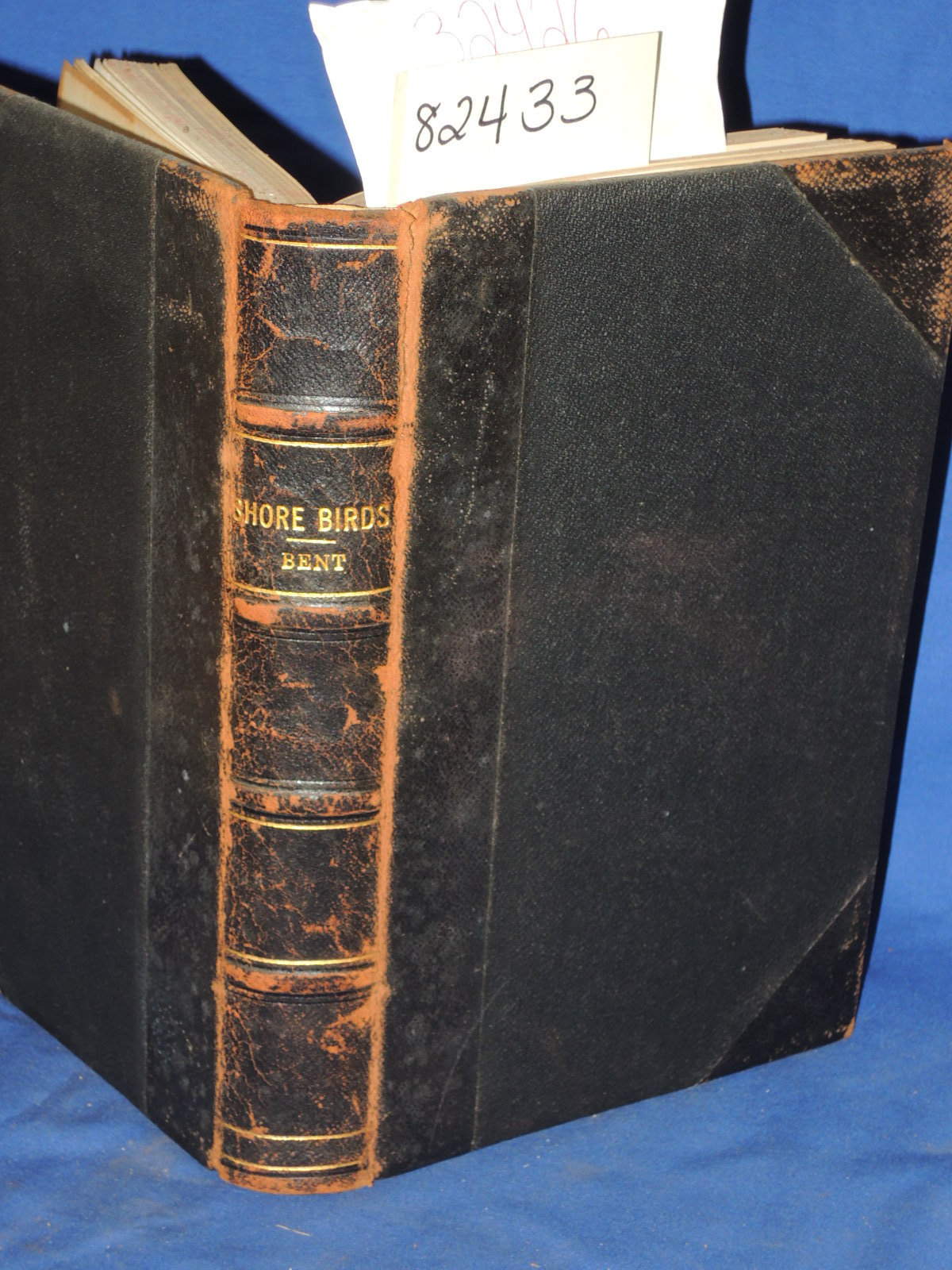 Bent, Arthur: Shore Birds-Order Limicolae