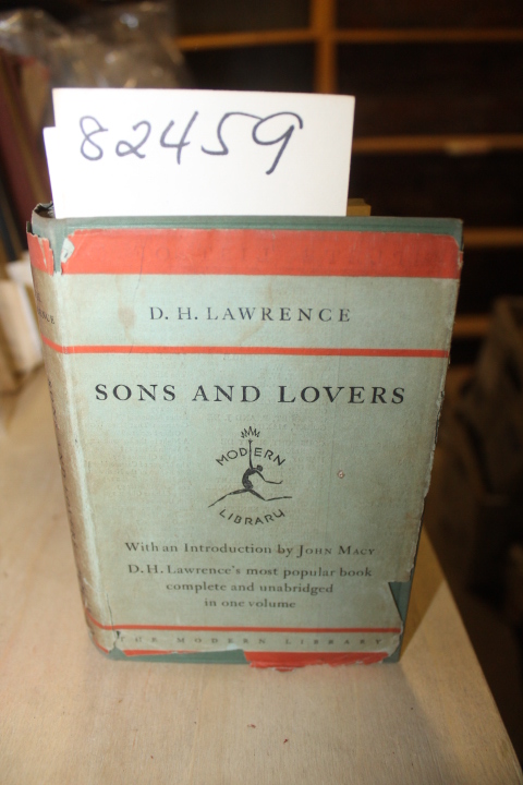 Lawrence, D.H.: Sons And Lovers