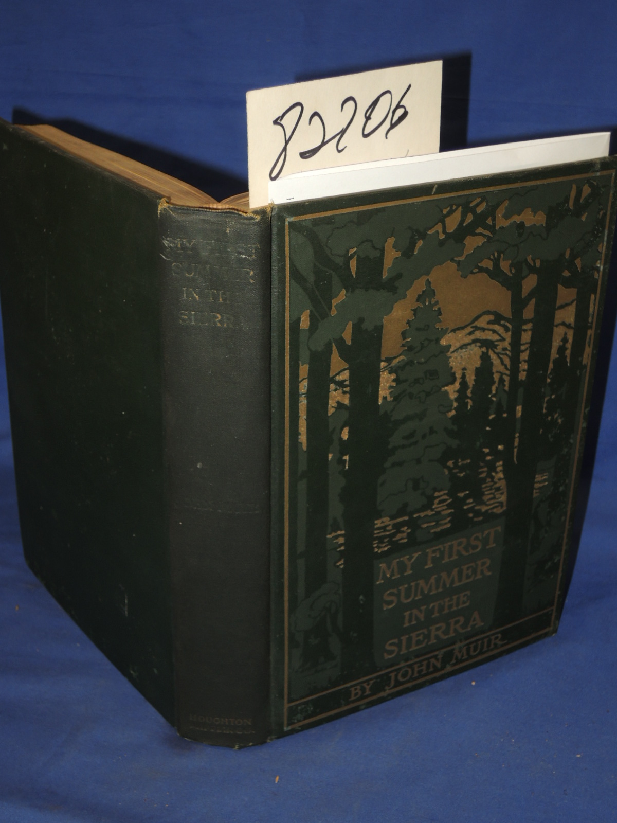 Muir, John: My First Summer in the Sierra