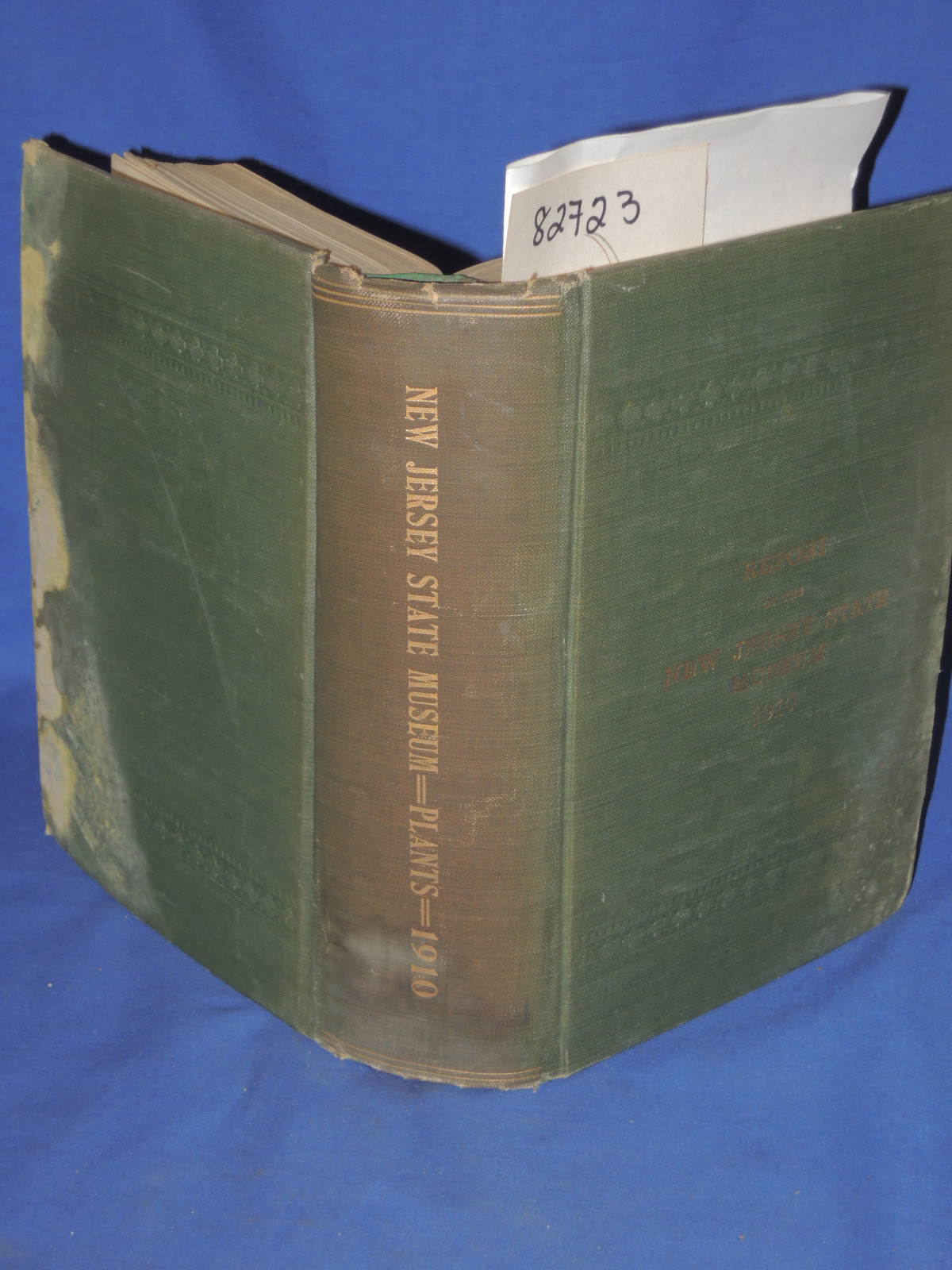 New Jersey State Museum.: PLANTS OF NEW JERSEY Annual Report of The NJ State ...