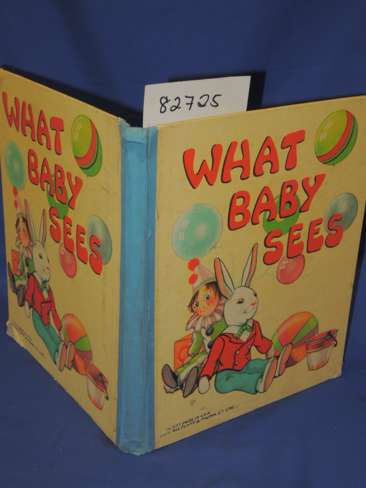 PLATT & MONK: What Baby Sees