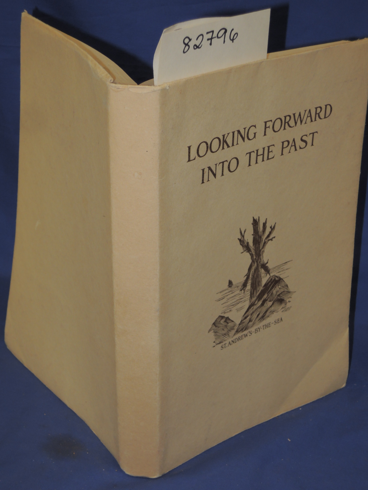 Tenney, E.P.: Looking Forward Into The Past