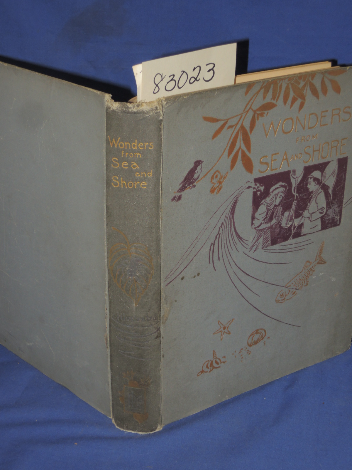 Deane, Fannie A.: Wonders from Sea and Shore