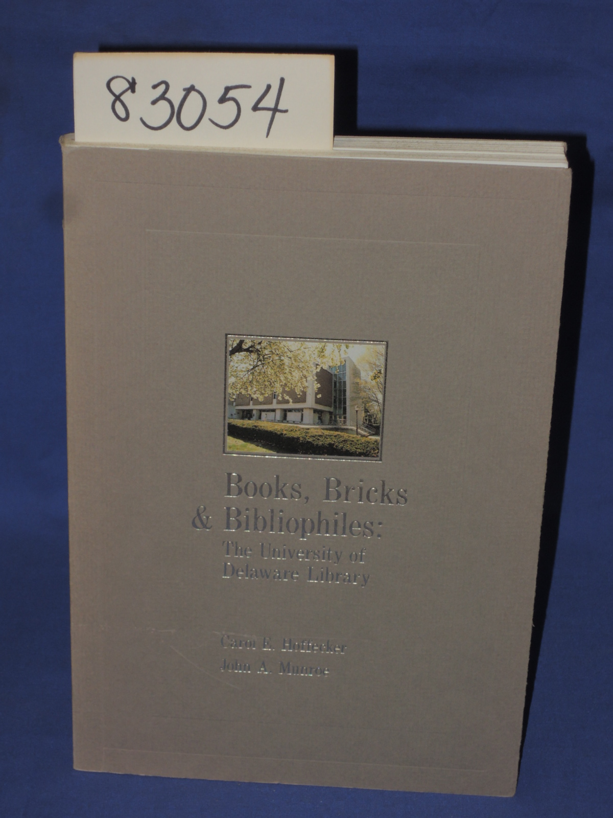 Hoffecker, Carol: Books, Bricks & Bibliophiles