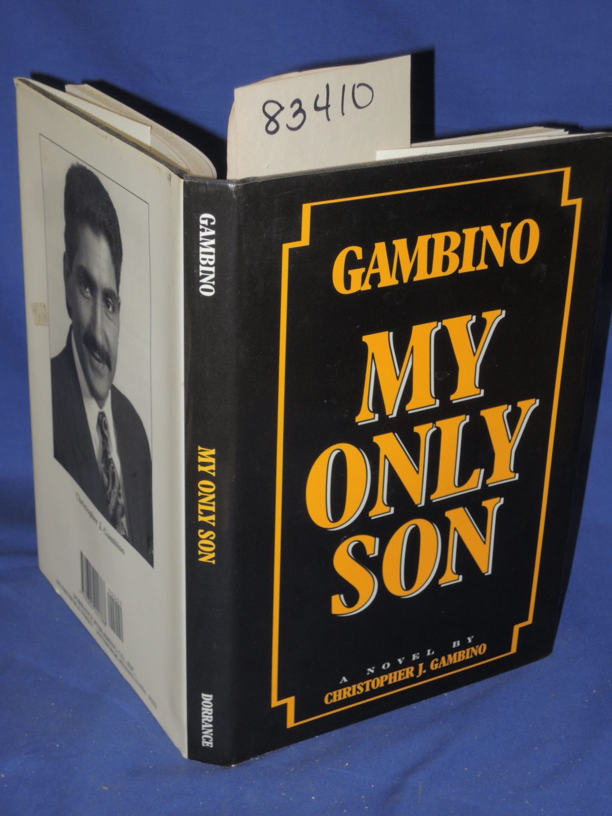 Gambino, Christopher J.: My Only Son