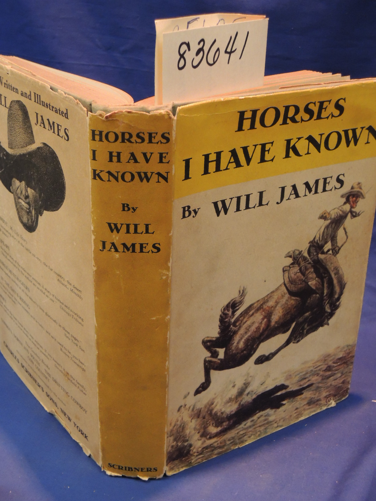 Will, James: Horses I Have Known