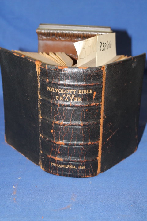 Polyglot Bible and Prayer: Polyglot Bible and Prayer