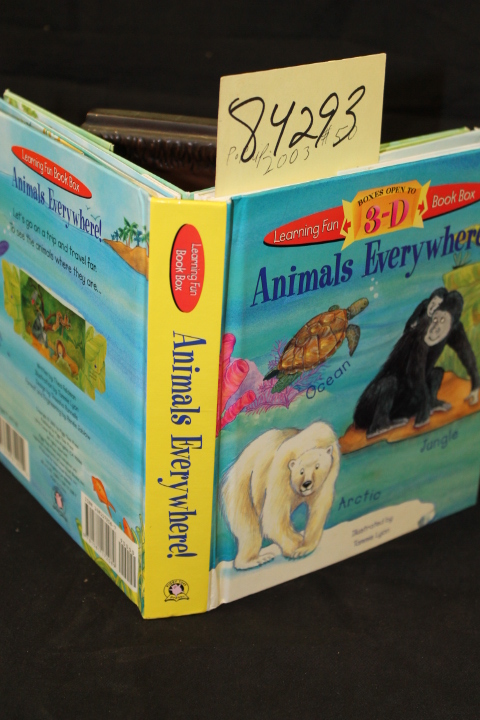 Feldman, Theo: Animals Everywhere! Learning Fun Book Box Pop up