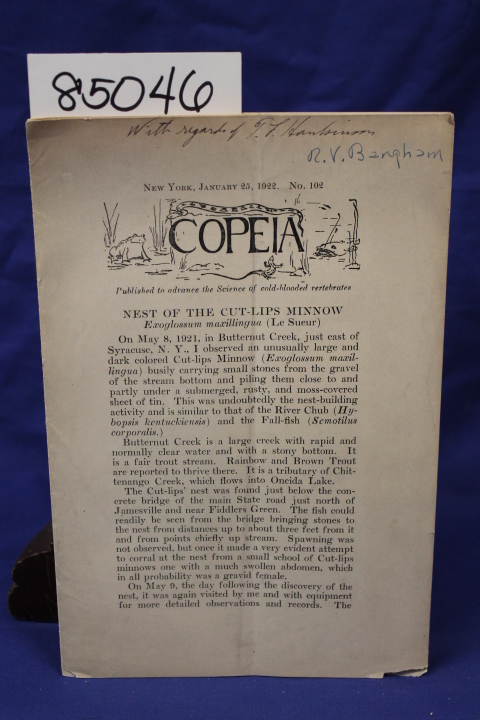 Hankinson, T.L.: NEST OF THE CUT-LIPS MINNOW