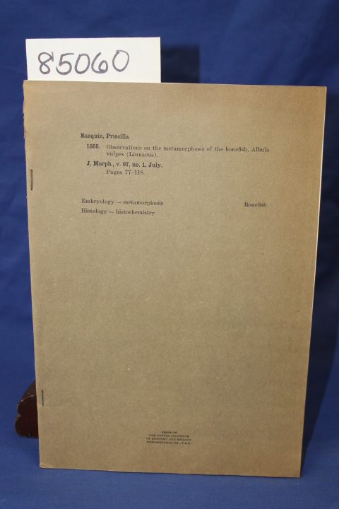 rasquin, priscilla: OBSERVATIONS ON THE METAMORPHOSIS OF THE BONEFISH ALBULA ...