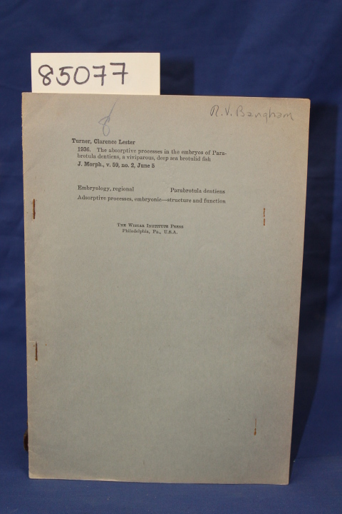 Turner, Clarence Lester: THE ABSORPTIVE PROCESSES IN THE EMBRYOS OF PARABROTU...