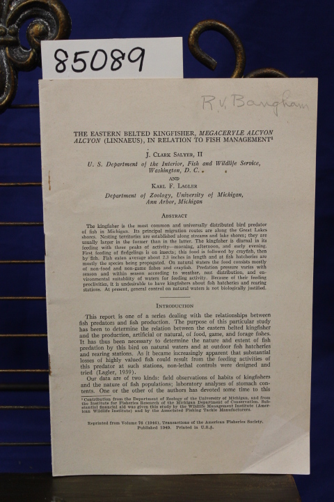 Salyer II, J. Clark; Lagler, Karl F.: THE EASTERN BELTED KINGFISHER MEGACERYL...