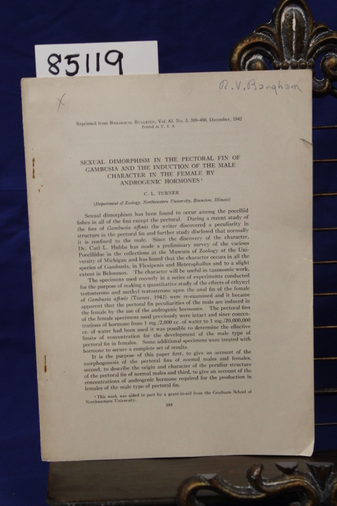 Turner, Clarence Lester: SEXUAL DIMORPHISM IN THE PECTORAL FIN OF GAMBUSIA AN...