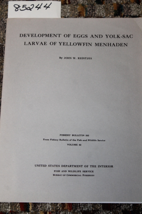 Reintjes, John W.: DEVELOPMENT OF EGGS AND YOLK-SAC LARVAE OF YELLOWFIN MENHADEN