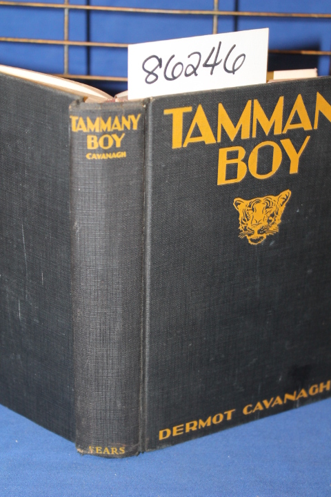 Cavanagh, Dermot: Tammany Boy A Romance and a Political Career