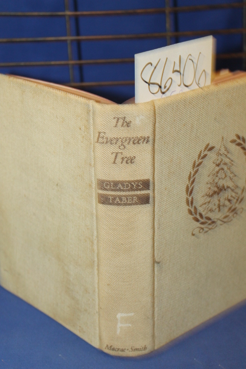 Taber, Gladys: The Evergreen Tree