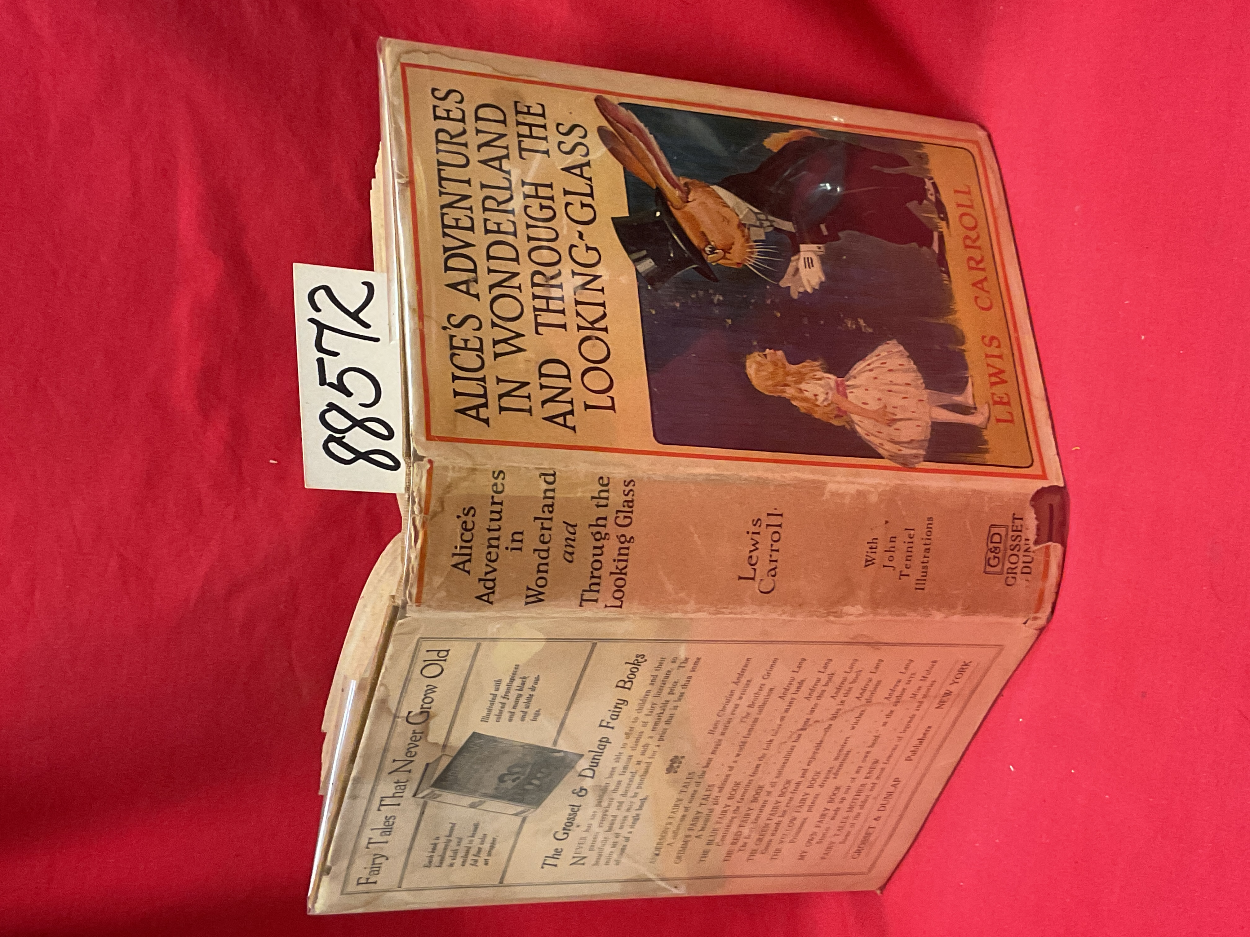 Carroll, Lewis; Tenniel, John: Alice's Adventures In Wonderland And Through T...