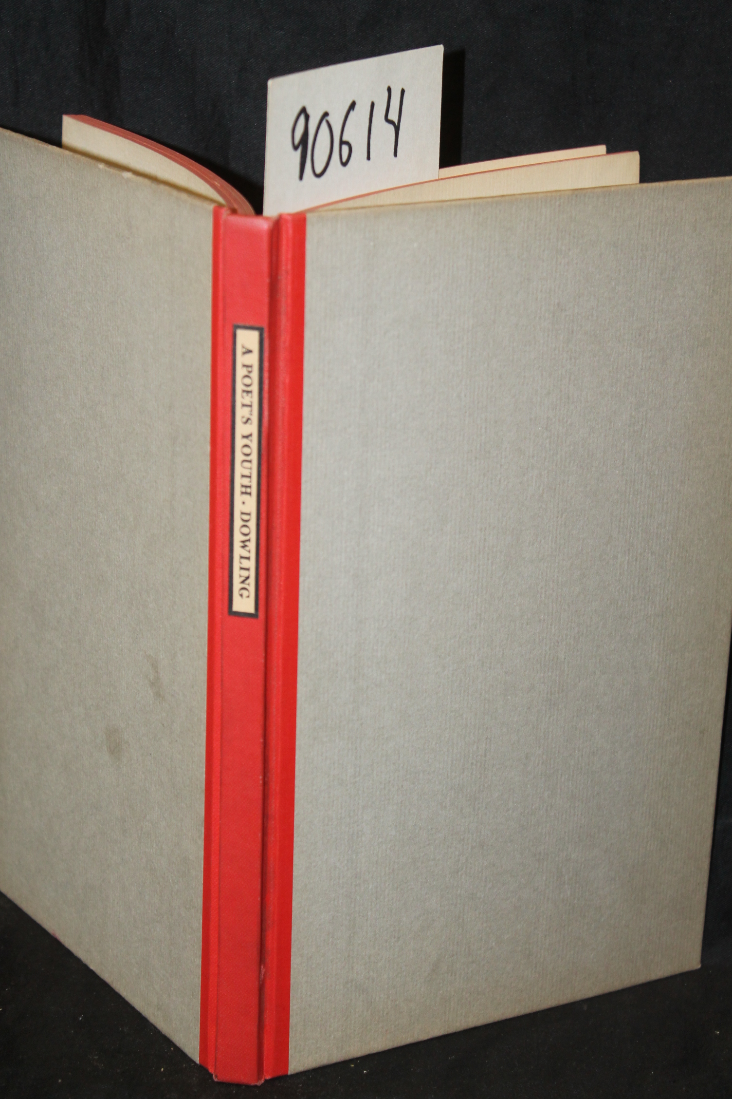 Dowling, Robert: A Poet's Youth