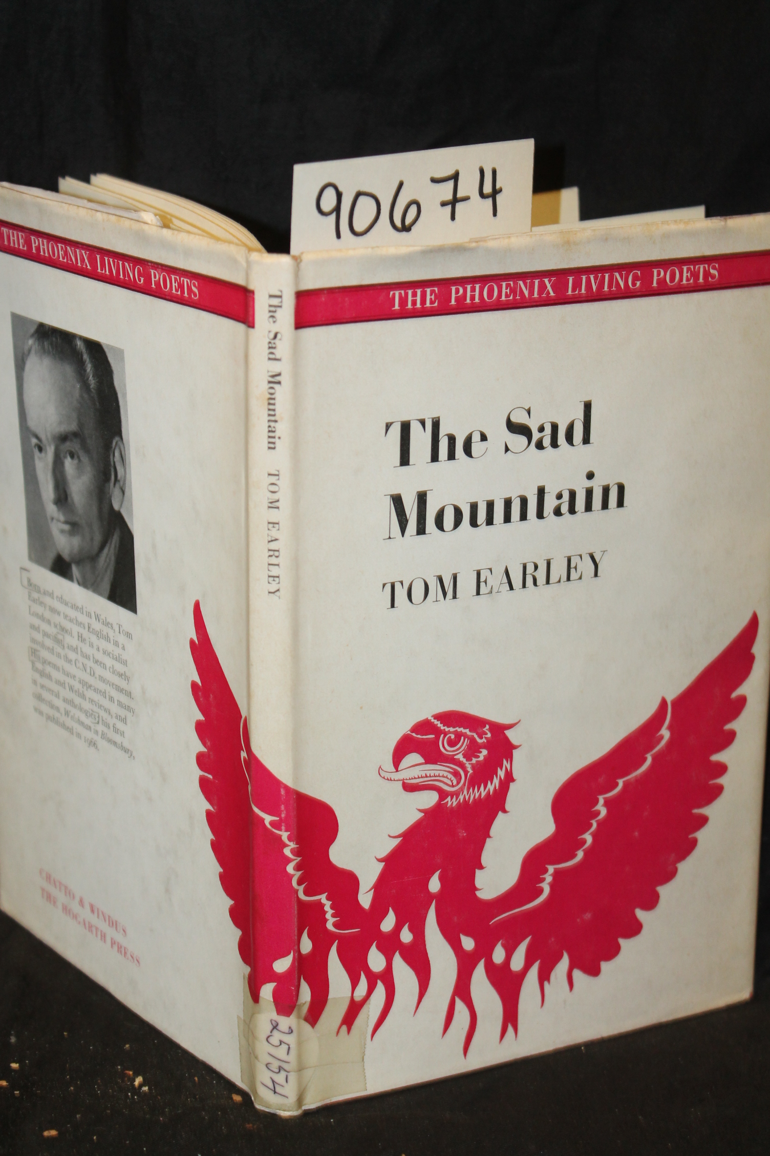 Earley, Tom: The Sad Mountain
