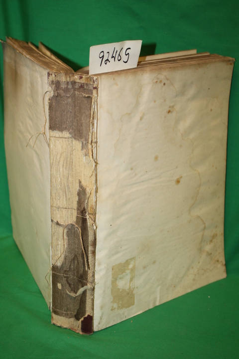 Hayden, F. V.: VOLUME TWELVE Report of the United States Geological Survey of...