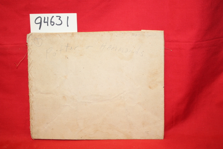 Potter, S. A.: Analytical and Progressive System of Business Penmanship : Pot...