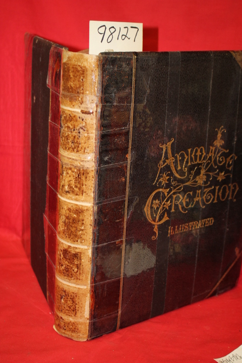 Wood, Rev. J. G.; Holder, Joseph B.: Animate Creation; Popular Edition of  Ou...