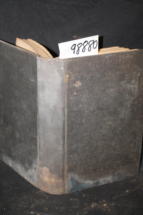 Beverland, Adrian: The Law Concerning Draped Virginity an Academical Study