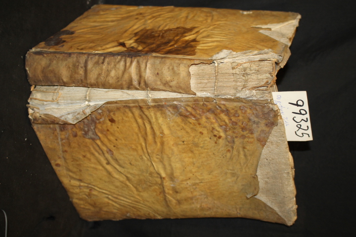 De Santa Elle, Ruderico Fernando: Vocabularium, Seu Lexicon Ecclesiasticum, L...