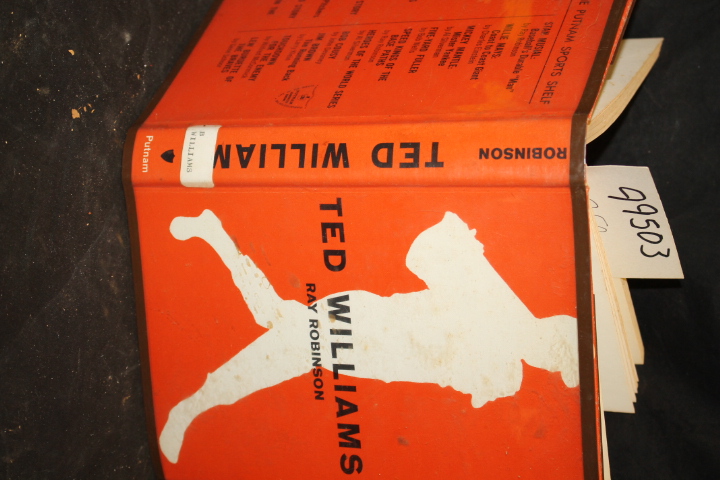 Robinson, Ray: Ted Williams