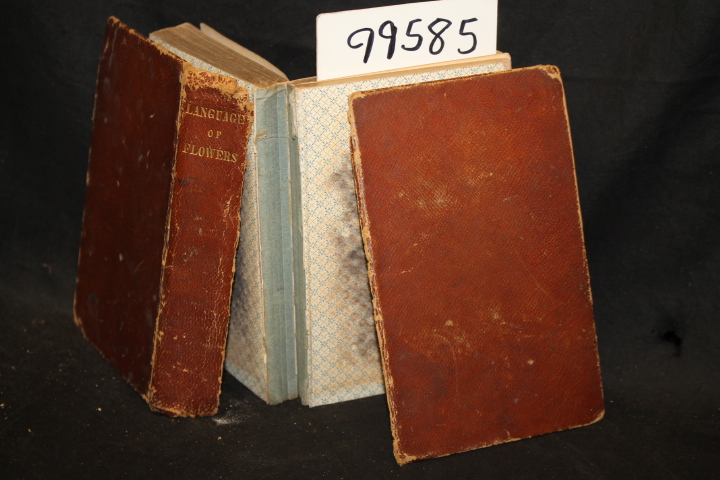 Byron: The Language of Flowers