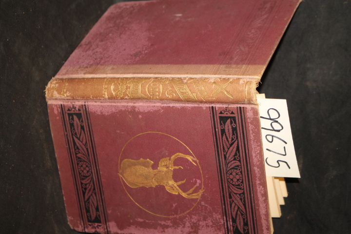 Batty, Joseph H.: Practical Taxidermy, and Home Decoration; Together with Gen...