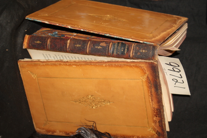 Irving, David: The Elements of English Composition