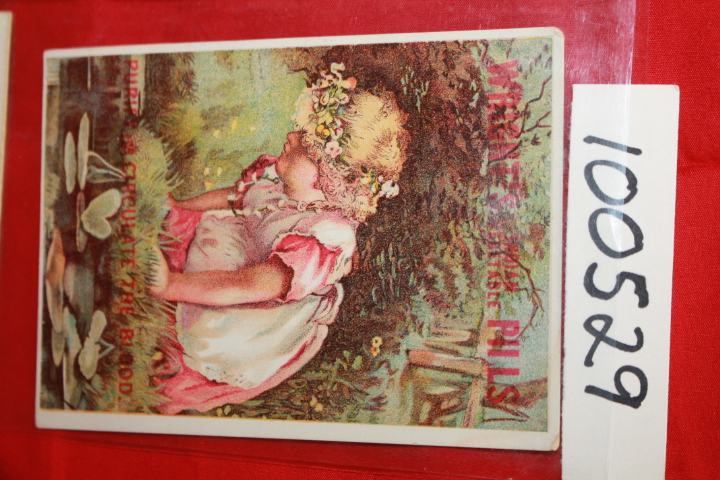 Wright's Indian Vegetable Pills; E. ...: Wright's Indian Vegetable Pills Puri...