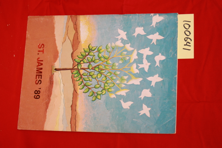 St. James: St. James Catholic School Ventnor, New Jersey; '89 Yearbook (1989)