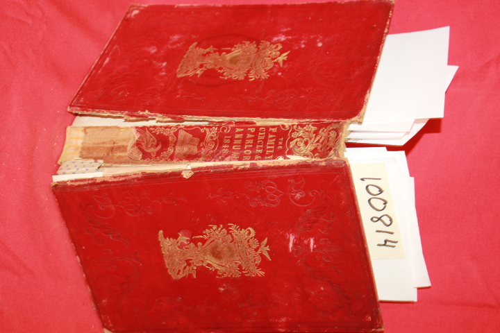The Family Circle: The Family Circle & Parlor Annual 1848 HAND-COLORED FLORAL...