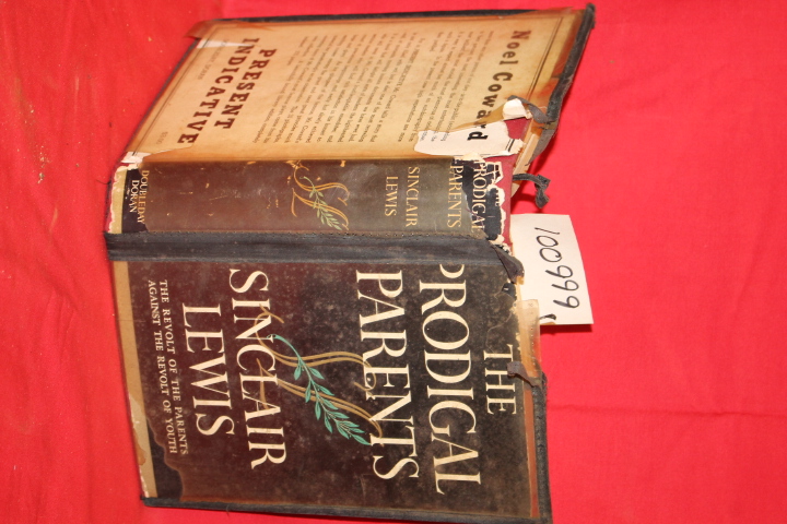Lewis, Sinclair: The Prodigal Parents