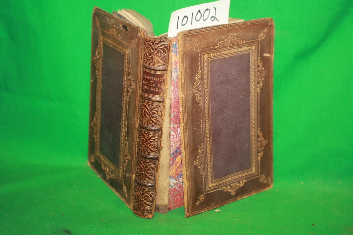 Tennyson, Alfred: Idylls of the King