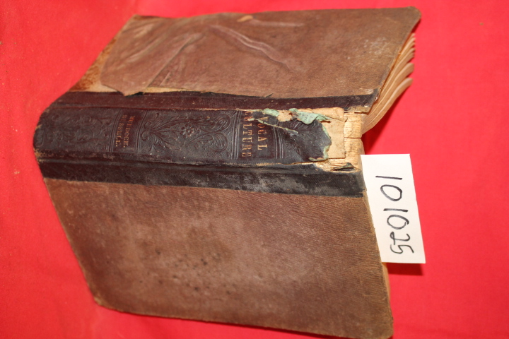 Russell, William: Orthopy; or Cultivation of the Voice in Elocution: a Manual...