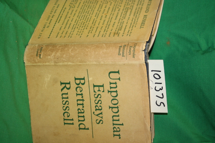 Unpopular essays wikipedia image