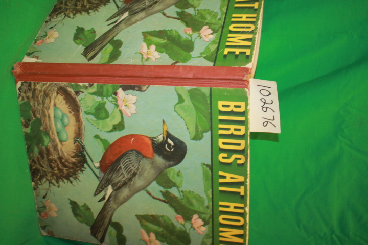 Henry, Marguerite: Birds at Home