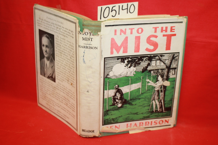 Harrison, Ben: Into The Mist