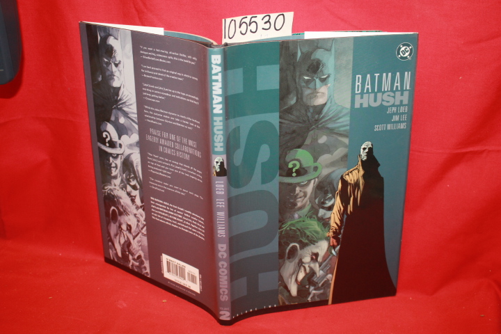 Loeb, Jeph; Lee, Jim; Williams, Scott: Batman Hush Volume 2