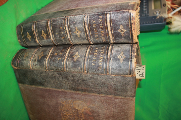 Bryant, William Cullen: Picturesque America Volumes 1 & 2