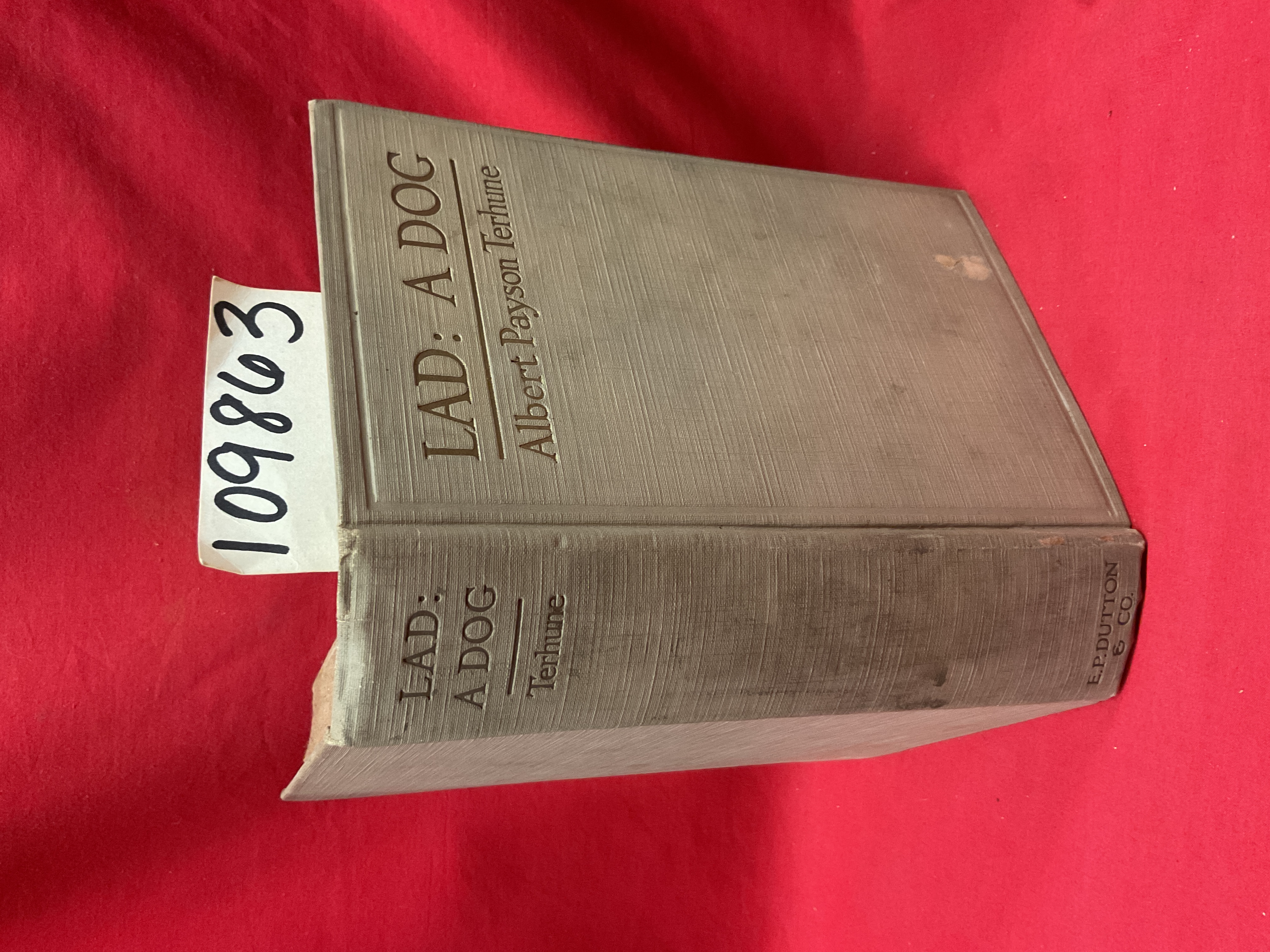TERHUNE, ALBERT PAYSON: LAD: A DOG